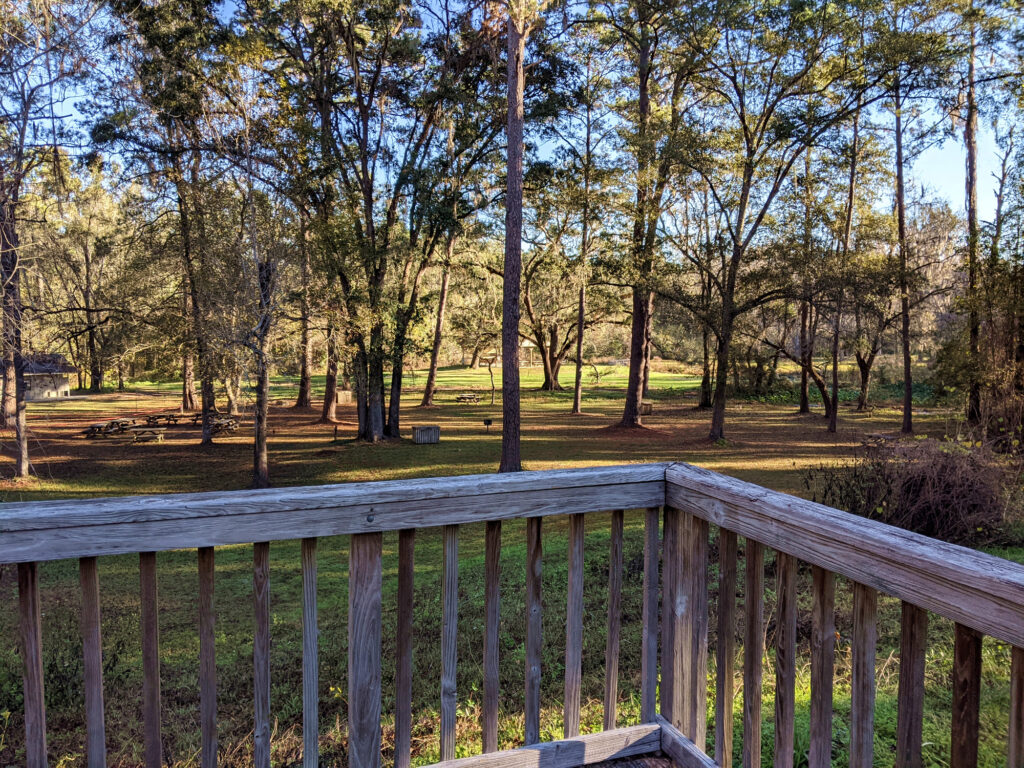 View atop the Indian mound at Lake Jackson Mounds